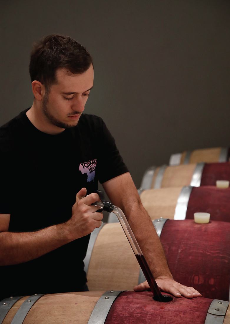 Prelievo di vino dalla barrique con il ladro