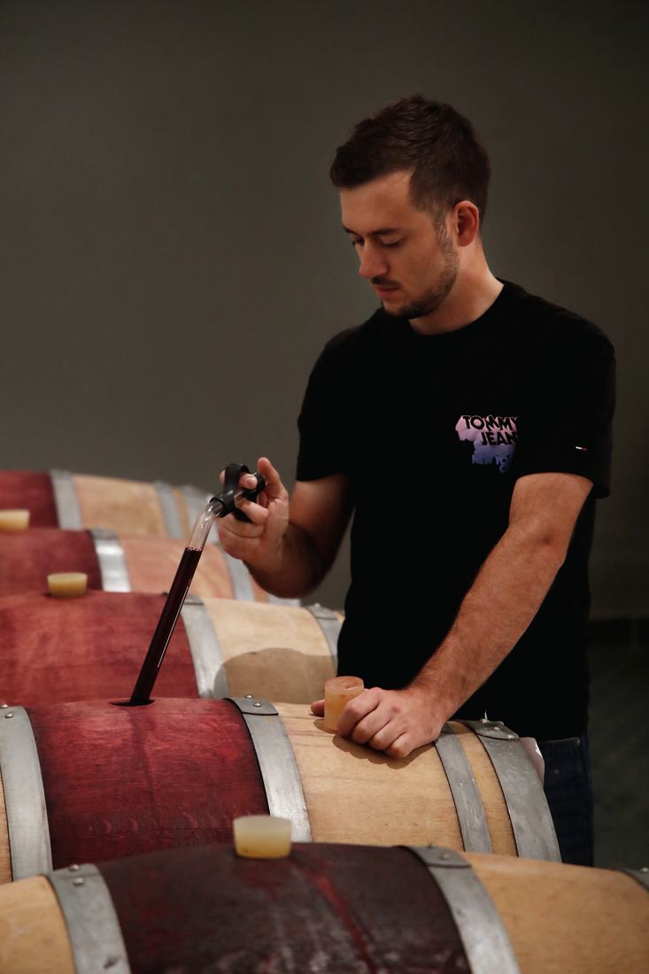 Prelievo di vino dalla barrique